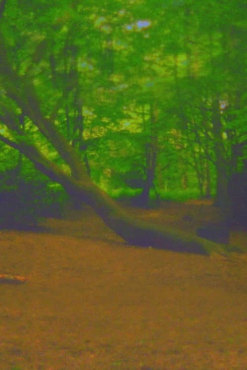 Fuck Tree
