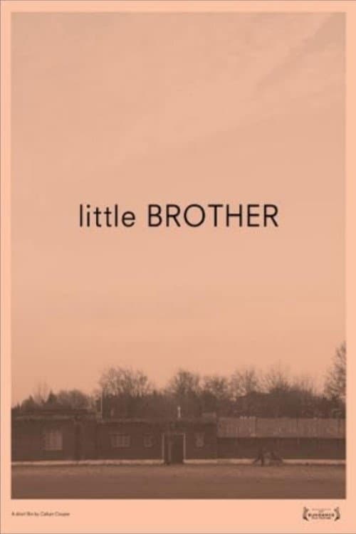 Little Brother