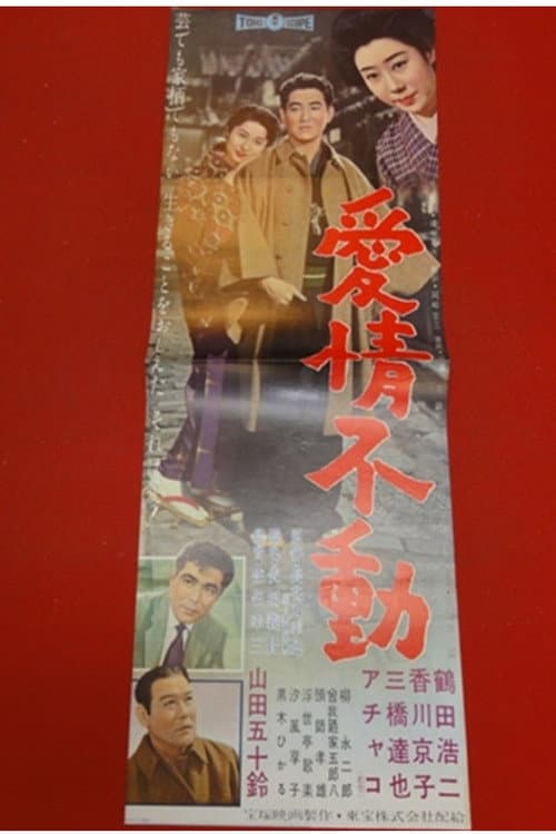 愛情不動