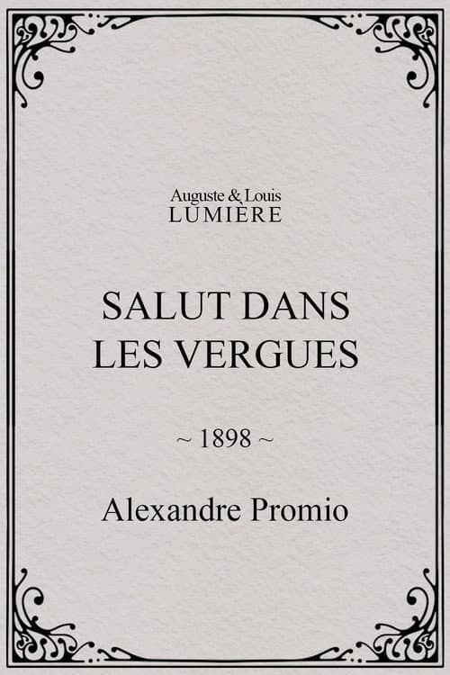 Salut dans les vergues