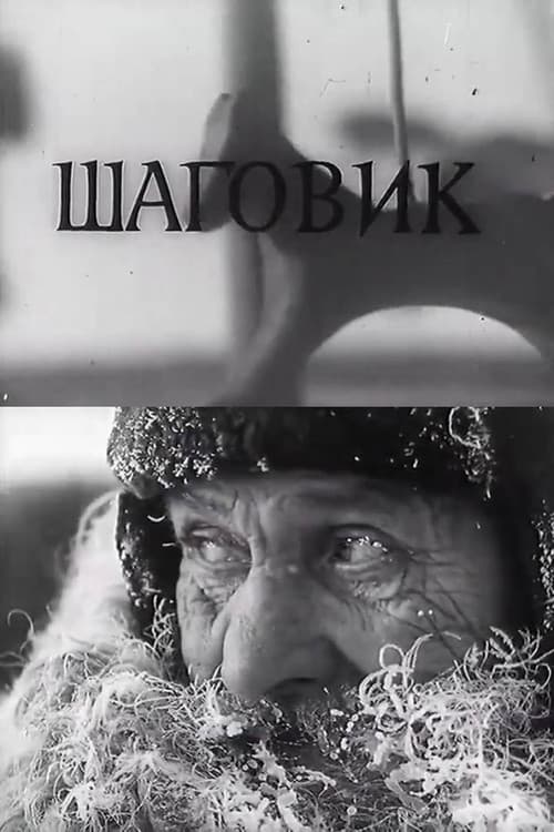 Шаговик