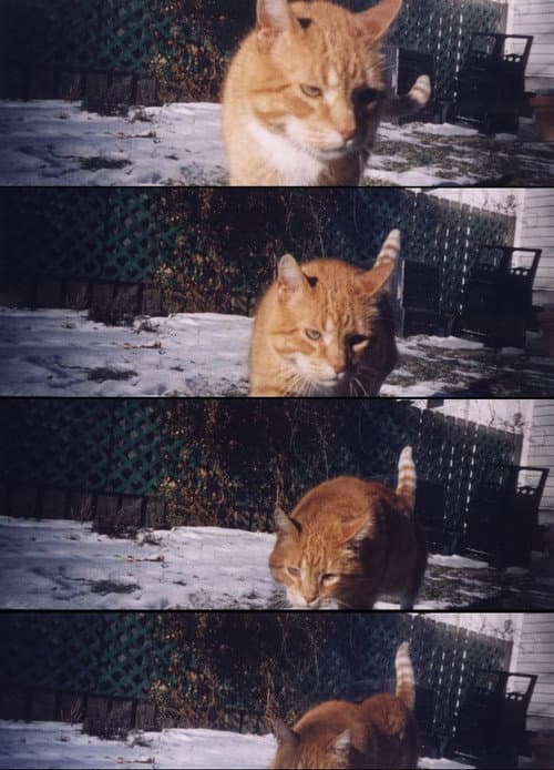 Nobody Knows