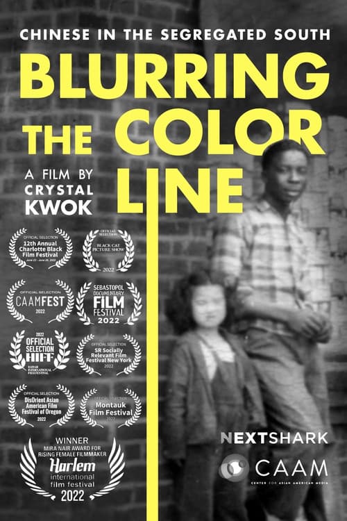 Blurring the Color Line: Chinese in the Segregated South