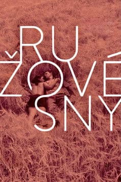 Ružové sny