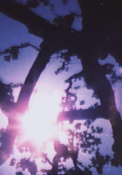 Light Point