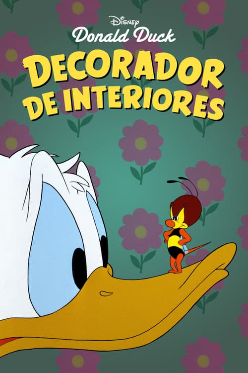 Decorador de interiores
