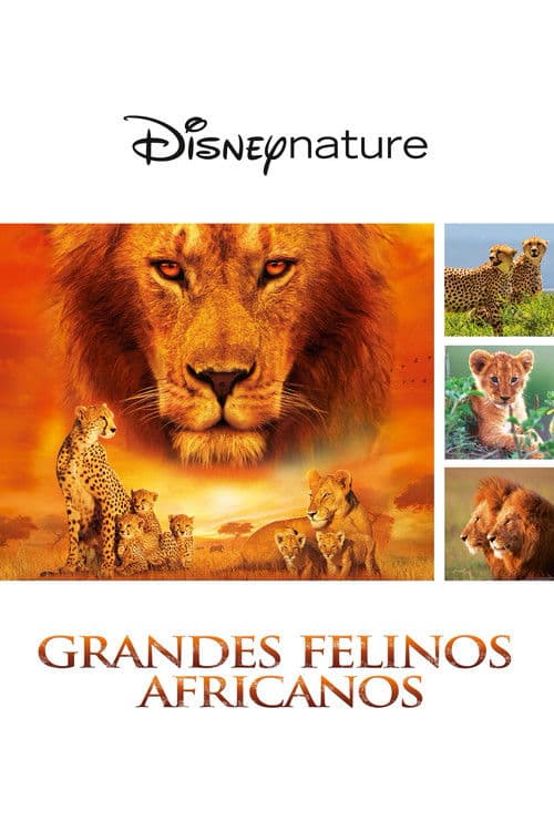 Felinos de África