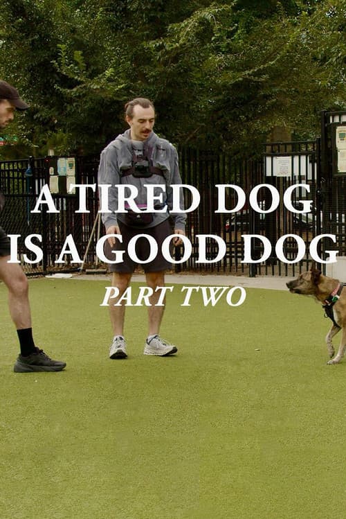 A Tired Dog is a Good Dog, Part Two
