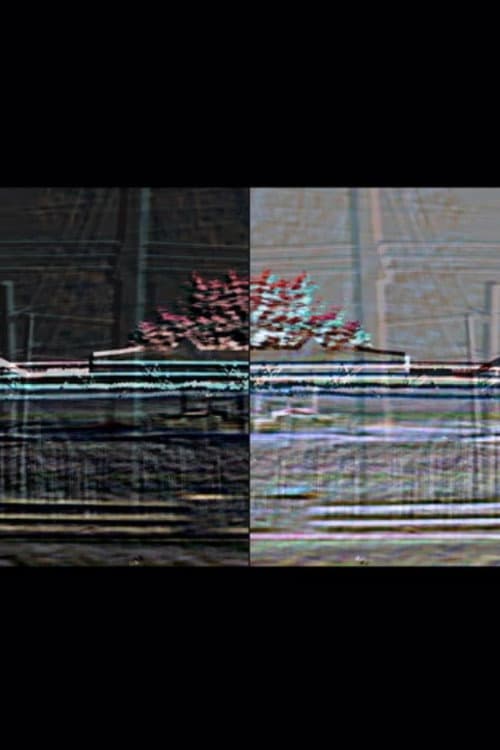 Cylinder Seal