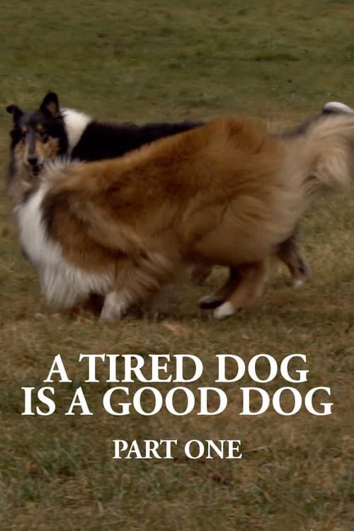 A Tired Dog is a Good Dog, Part One