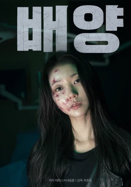 배양