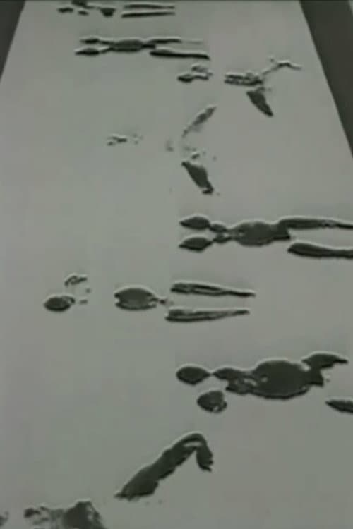 Anthropometries of the Blue Period and Fire Paintings