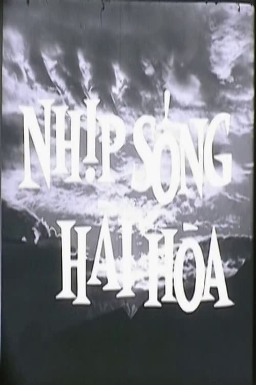 Nhịp Sống Hài Hòa