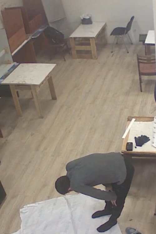 Surveillance Film