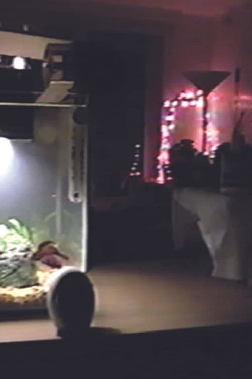 Space 11.16.22
