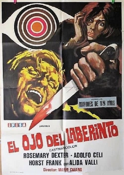 L'occhio nel labirinto
