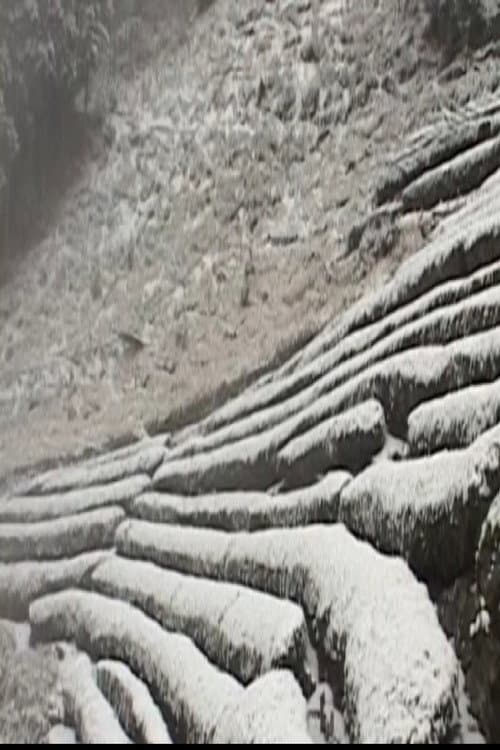 天竜区奥領家大沢　冬