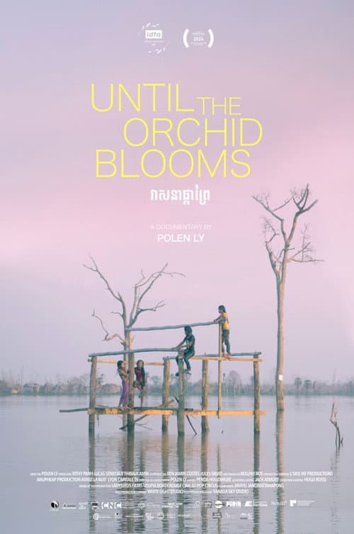 Until the Orchid Blooms