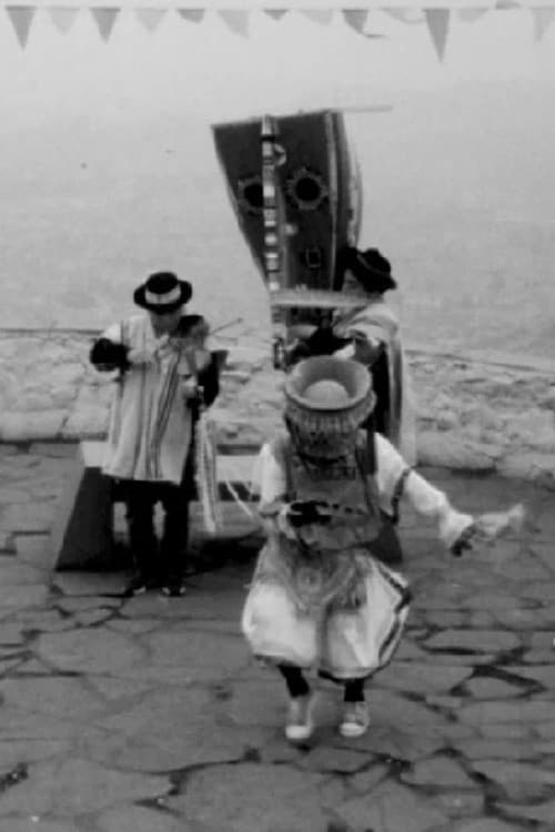 Warmi Danzaq