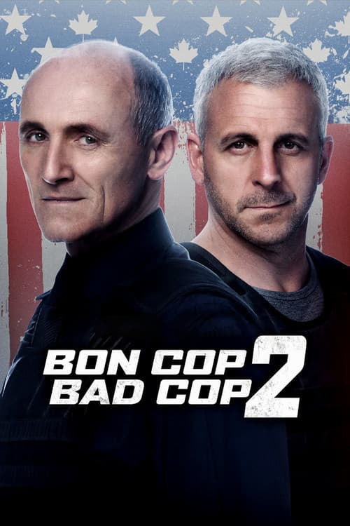Dos policías en apuros 2