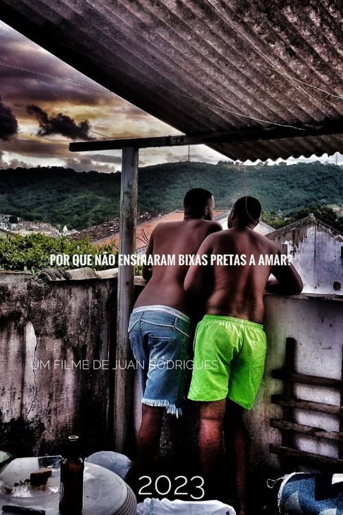 Por que Não Ensinaram Bixas Pretas a Amar?
