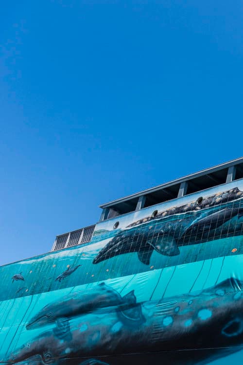 Ocean Stories: Wyland