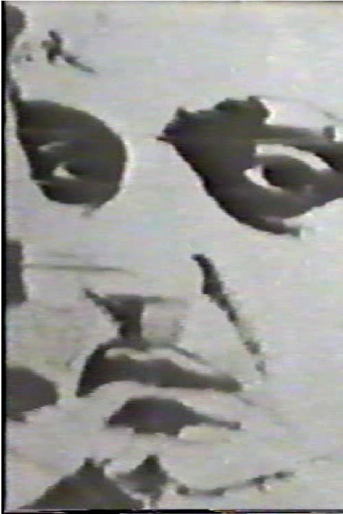 Goffredo
