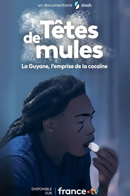 Têtes de mules : La Guyane, l'emprise de la cocaïne