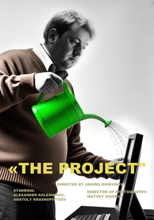El proyecto