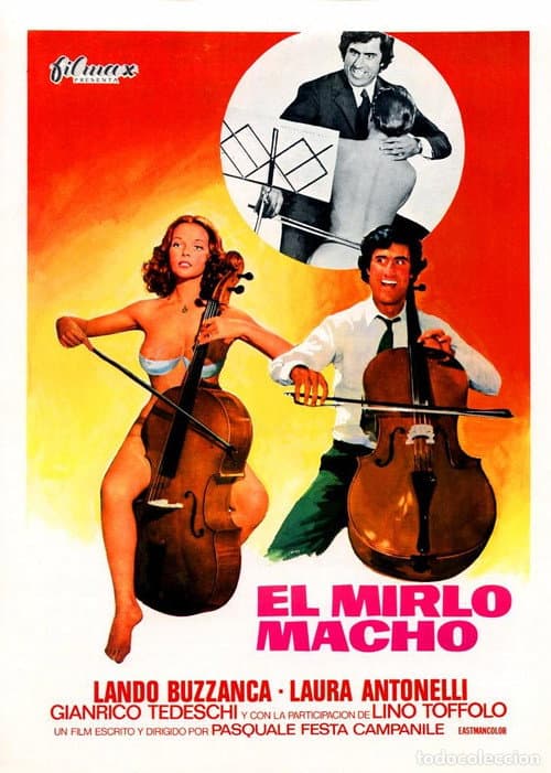 Il merlo maschio