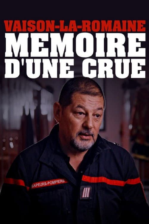 Vaison-la-Romaine, mémoire d'une crue