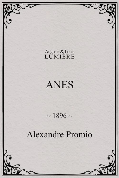 Anes