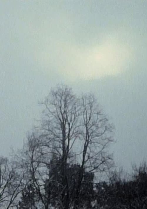 Kopfüber im Geäst