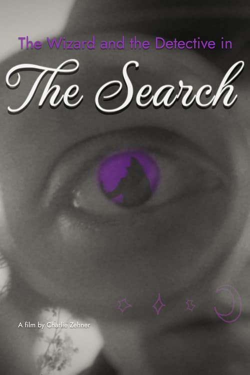The Wizard and the Detective in the Search