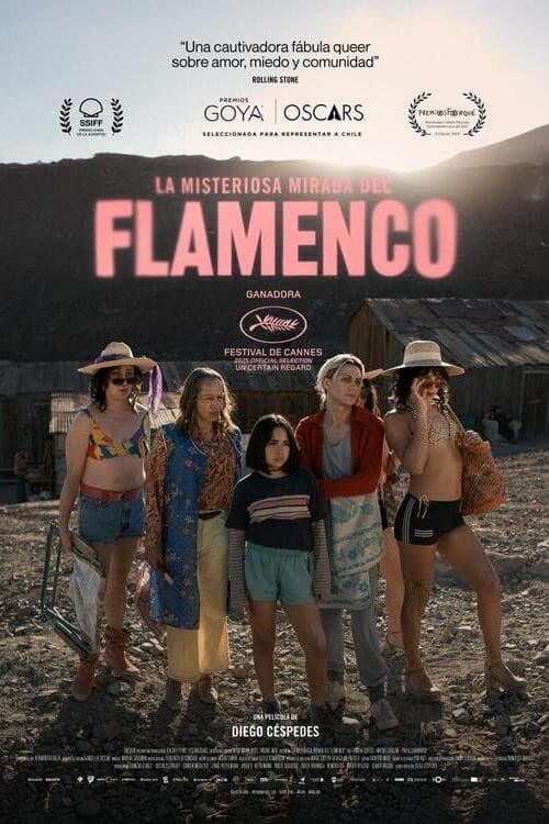 La misteriosa mirada del flamenco