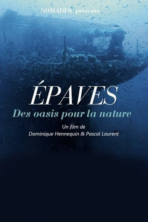 Épaves, des oasis pour la nature