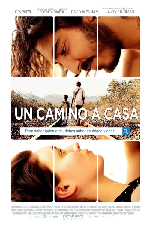 Un camino a casa