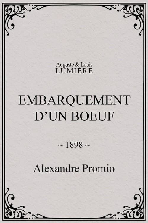 Embarquement d’un boeuf