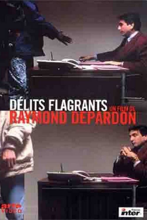Delitos flagrantes
