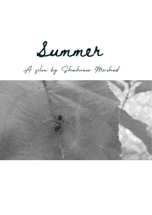 Summer