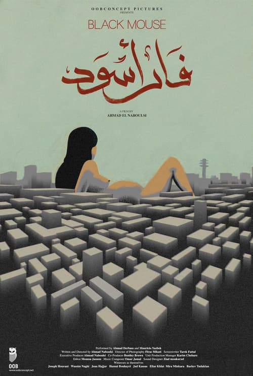 فأر أسود