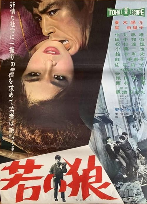 若い狼