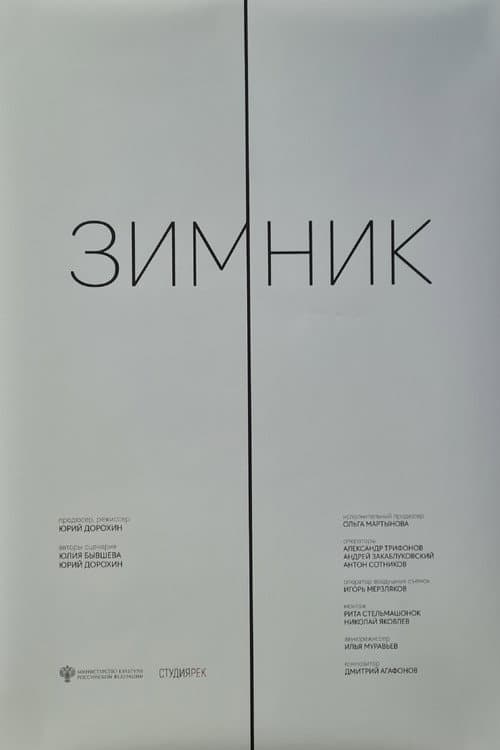 Зимник