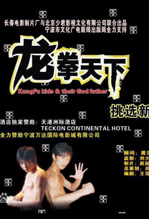 龙拳天下
