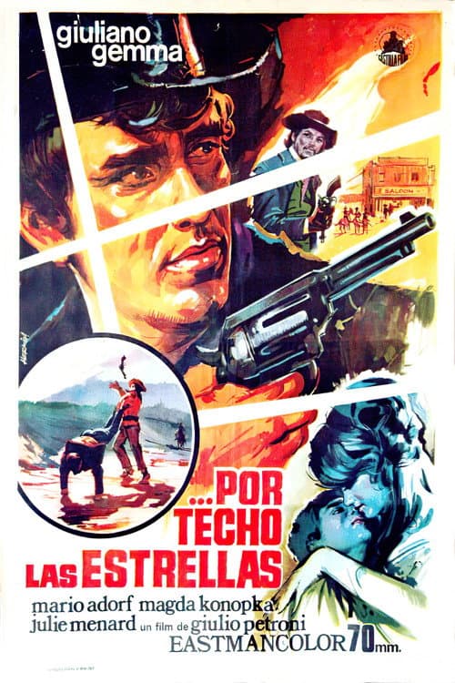 La venganza de Ringo