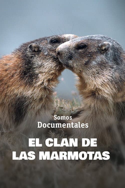 Le Clan des Marmottes