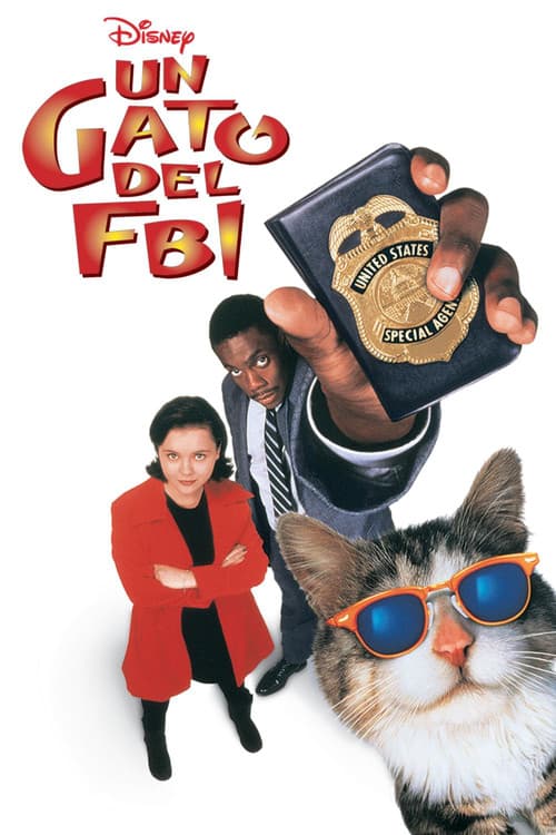 Un gato del F.B.I.