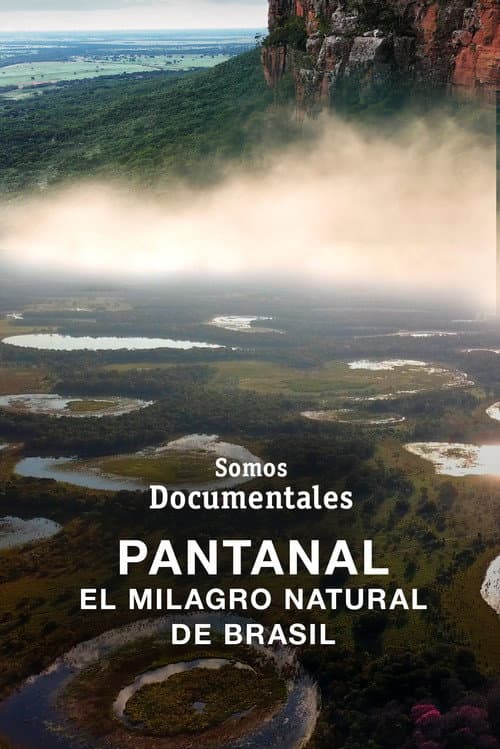 Naturwunder Pantanal - Brasiliens geheimnisvolle Wildnis