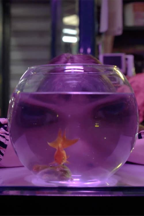 Baby Moon Park