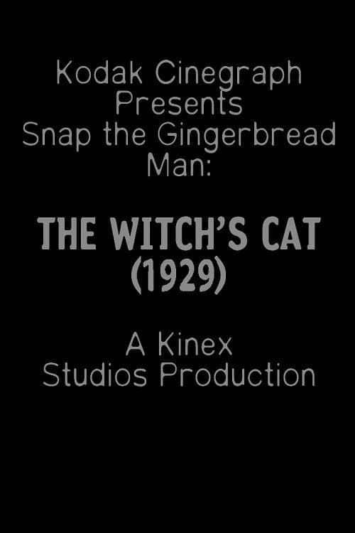 The Witch's Cat